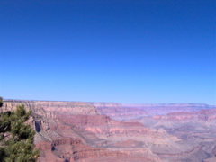 IM000270.JPG