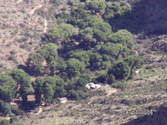 PICT0012.JPG