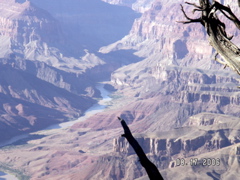 PICT0015.JPG