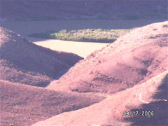 PICT0019.JPG