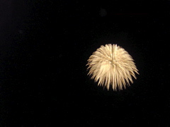 IM000190.JPG
