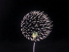 IM000203.JPG