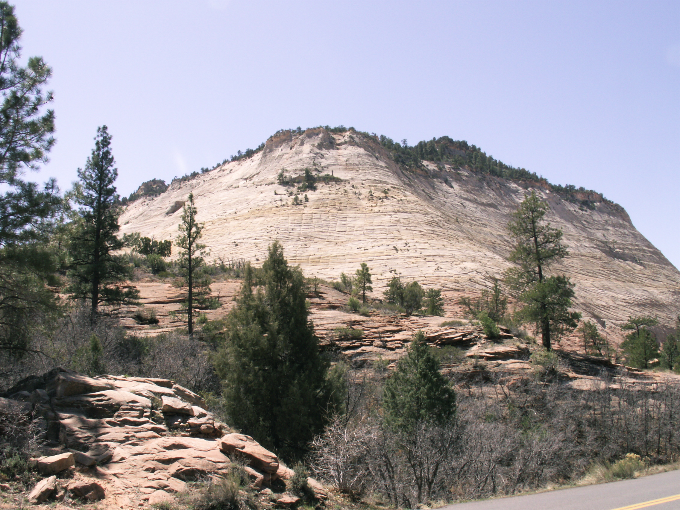 PICT0179.JPG