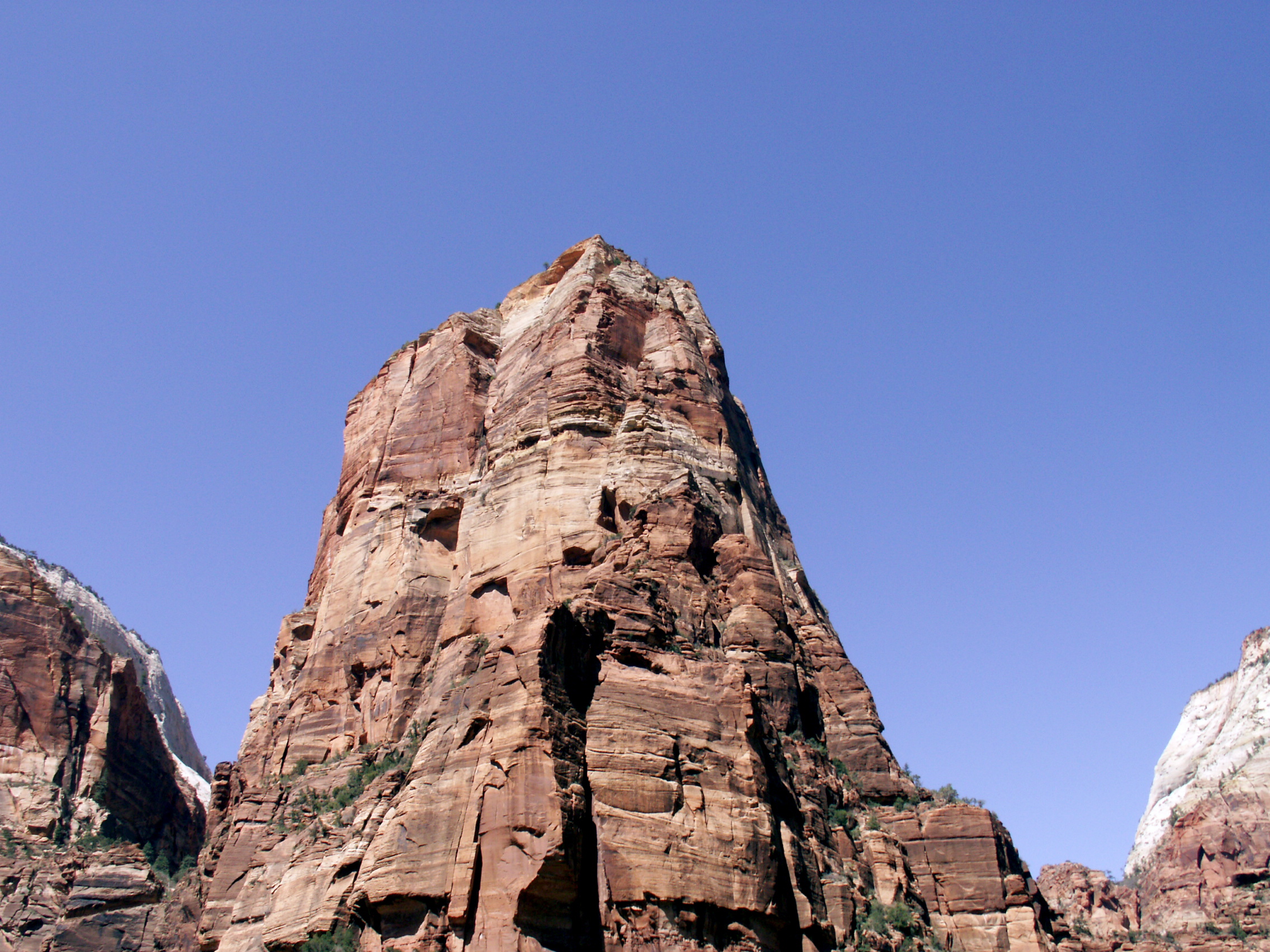 PICT0190.JPG