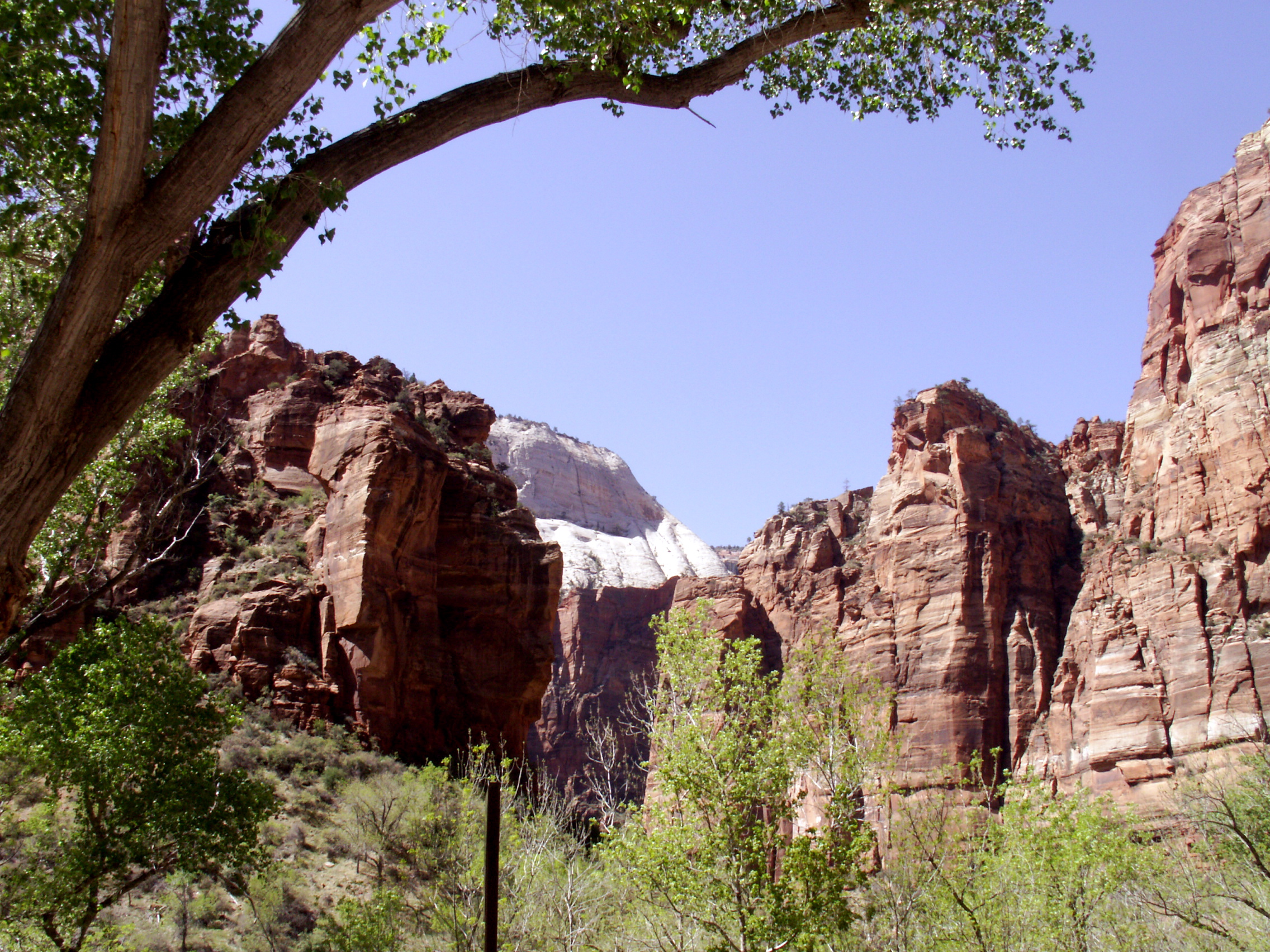 PICT0191.JPG