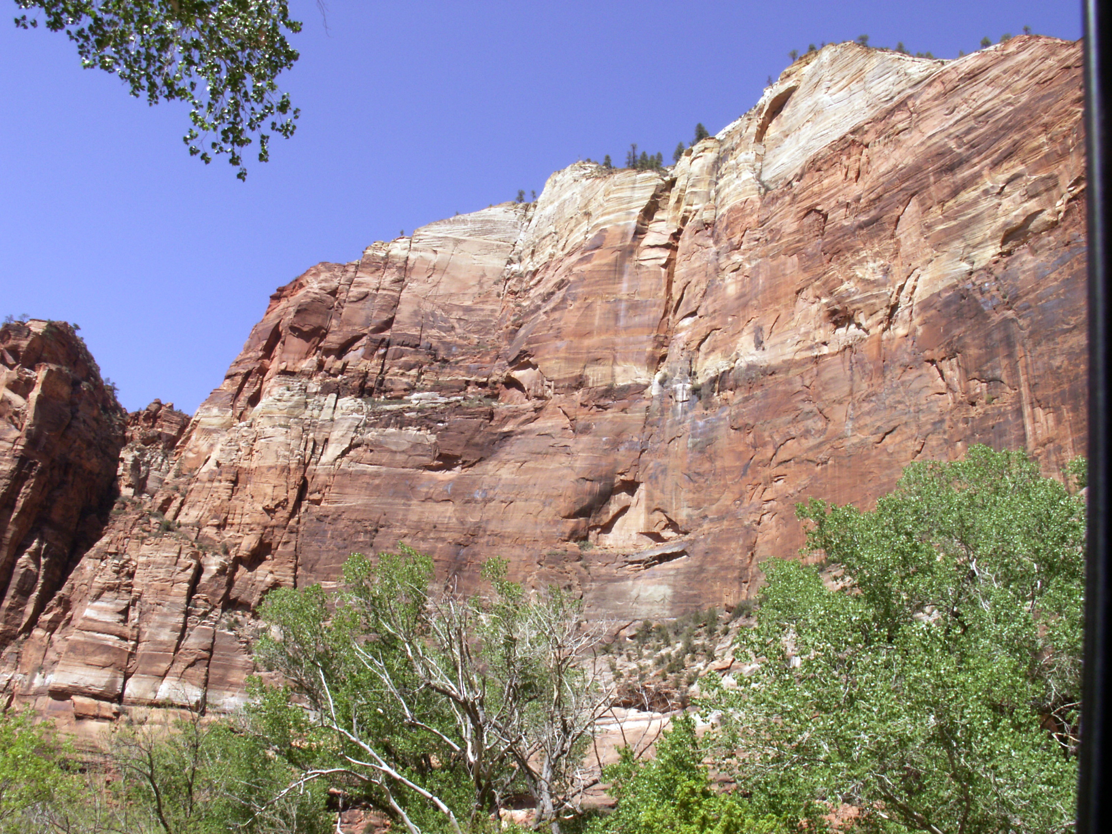 PICT0192.JPG
