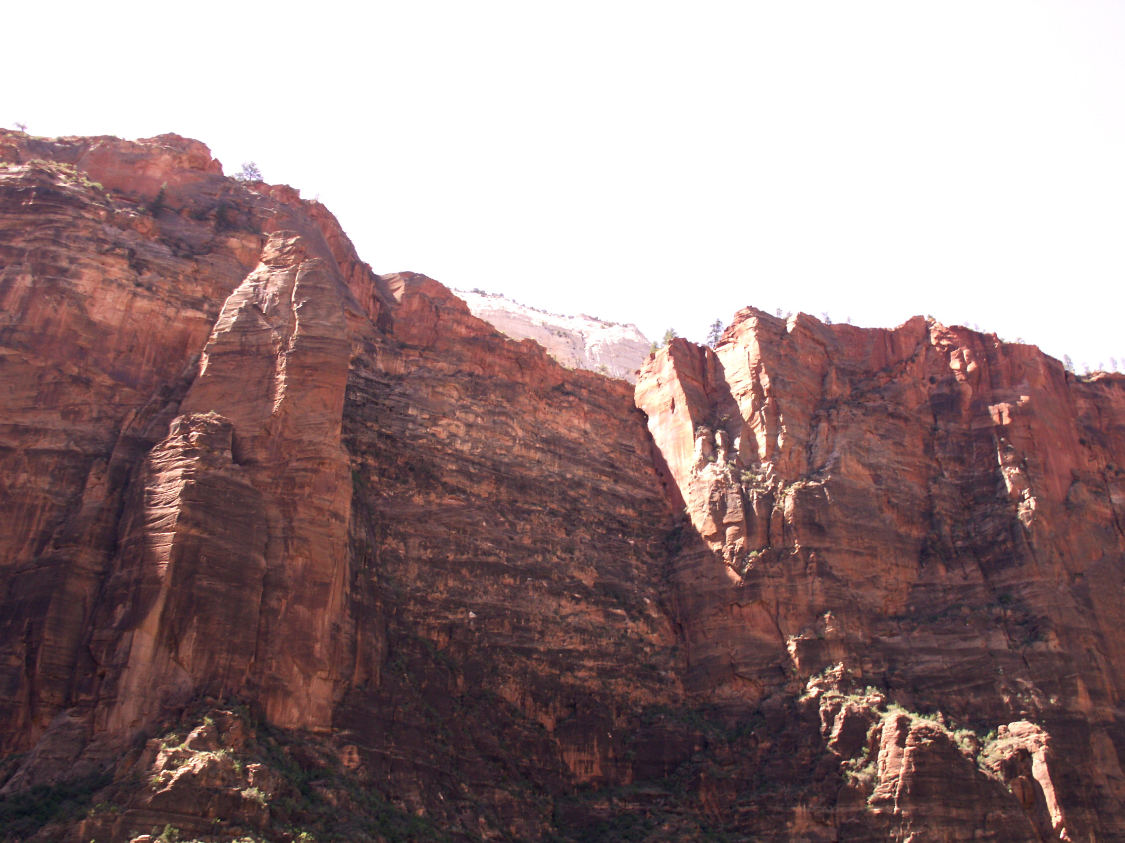 PICT0194.JPG