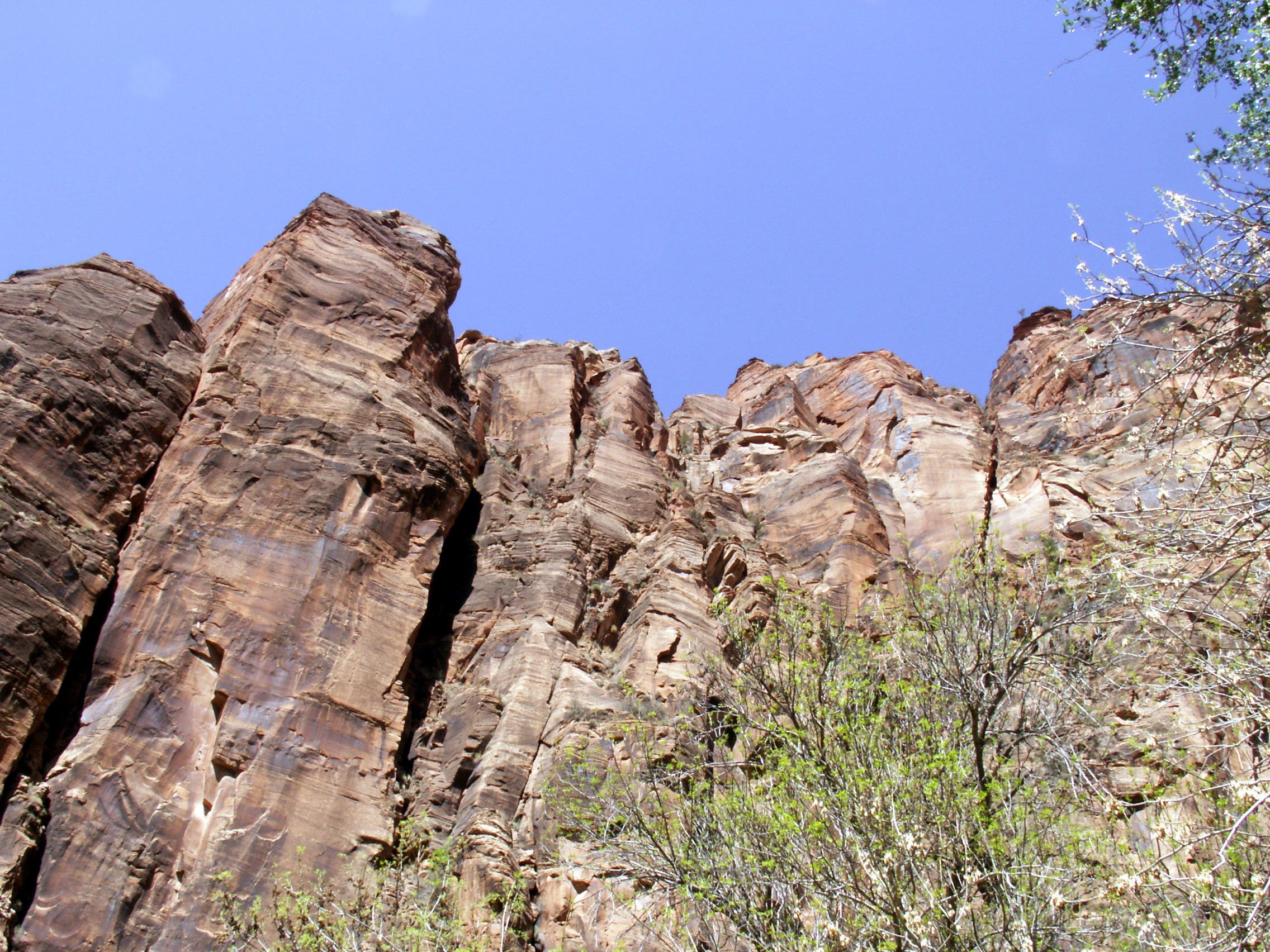 PICT0196.JPG