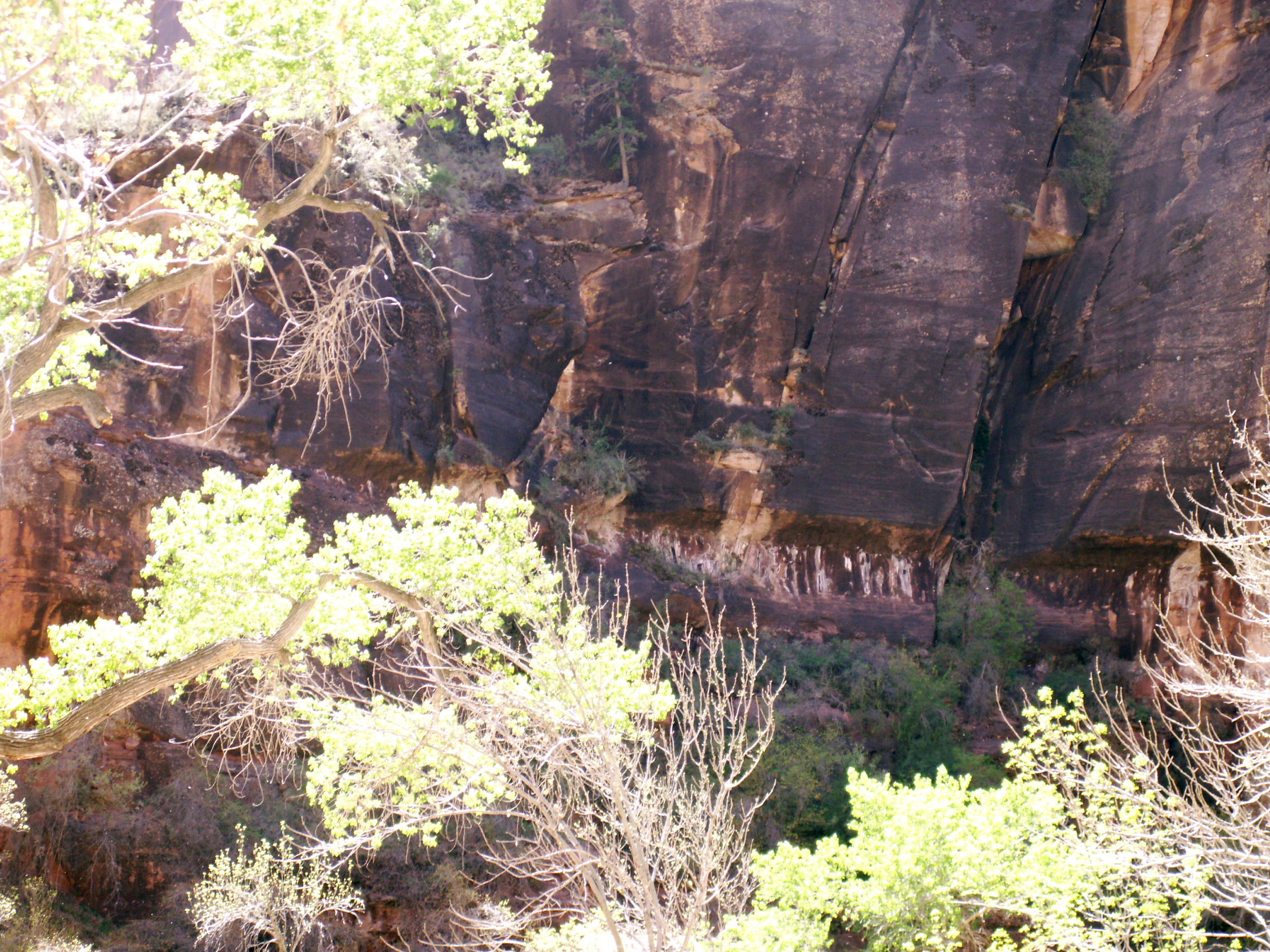 PICT0197.JPG