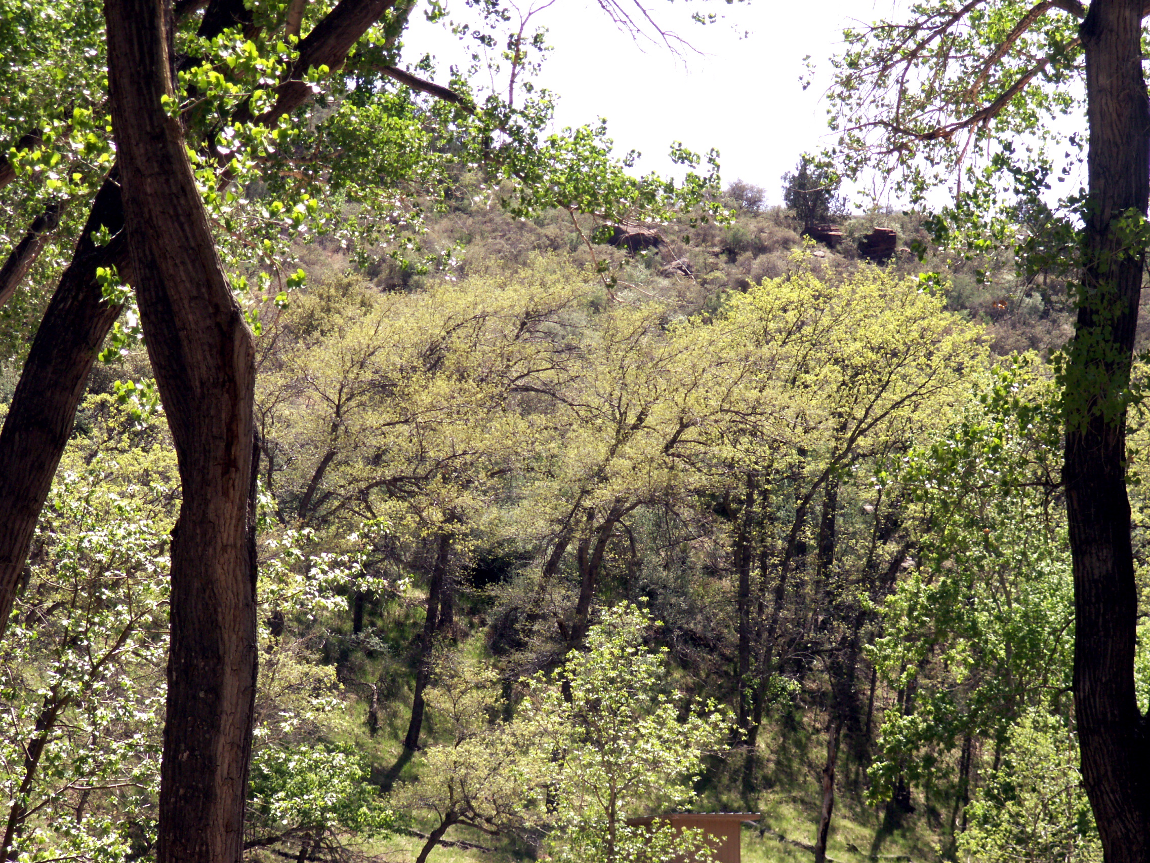 PICT0206.JPG