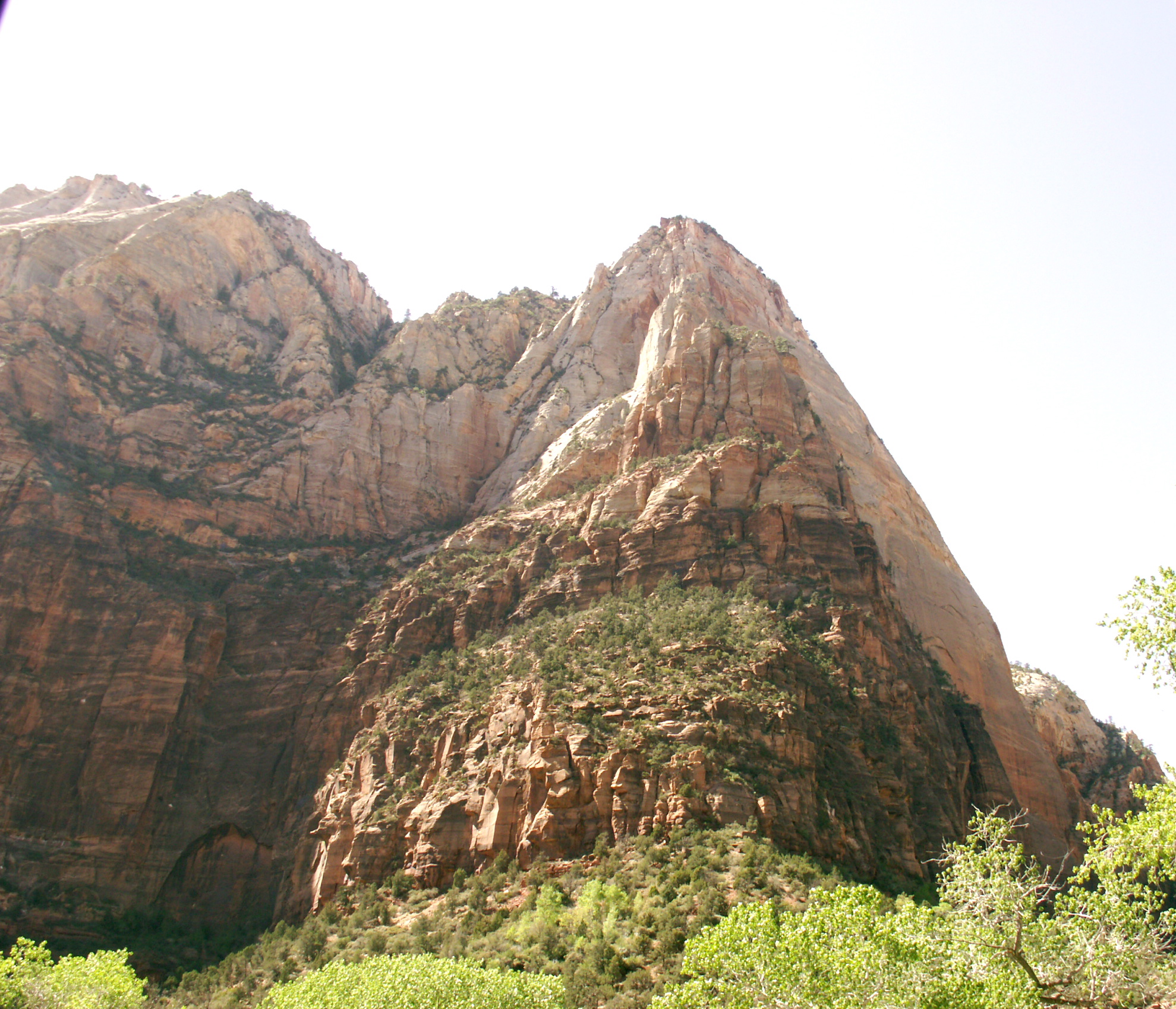 PICT0207.JPG