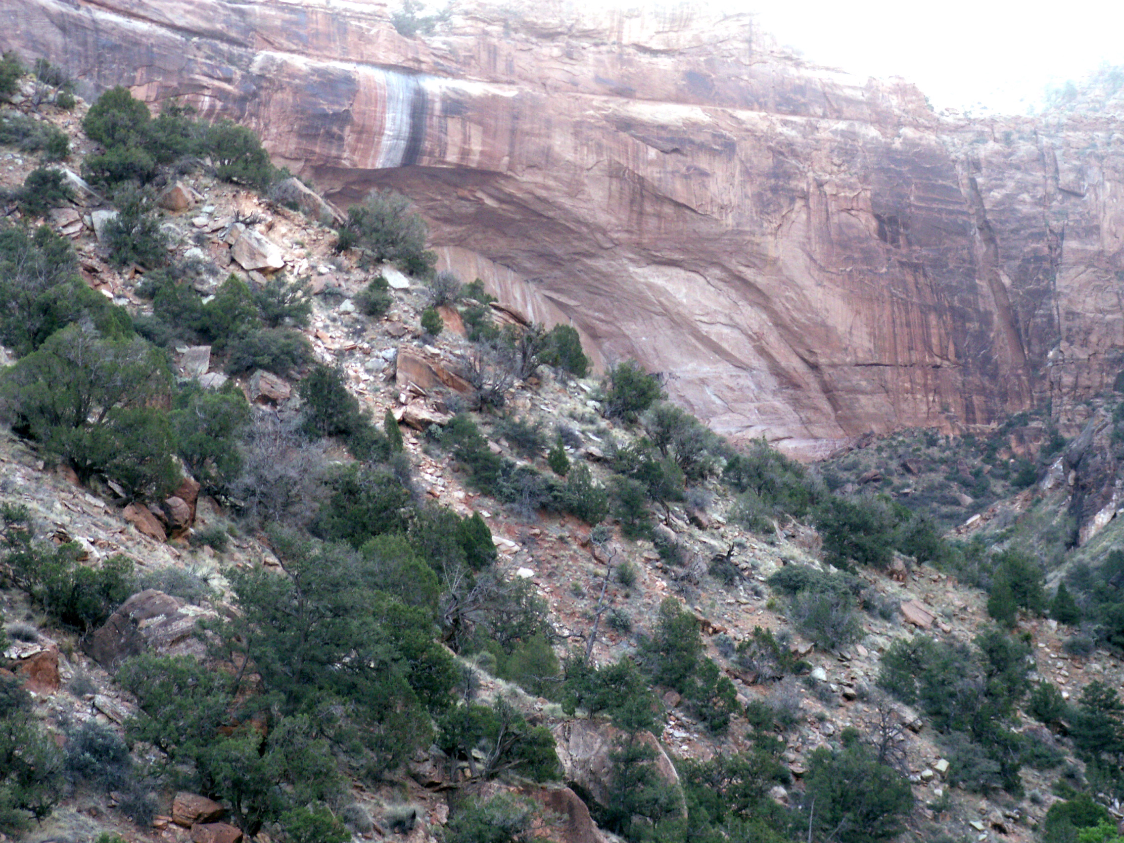 PICT0209.JPG