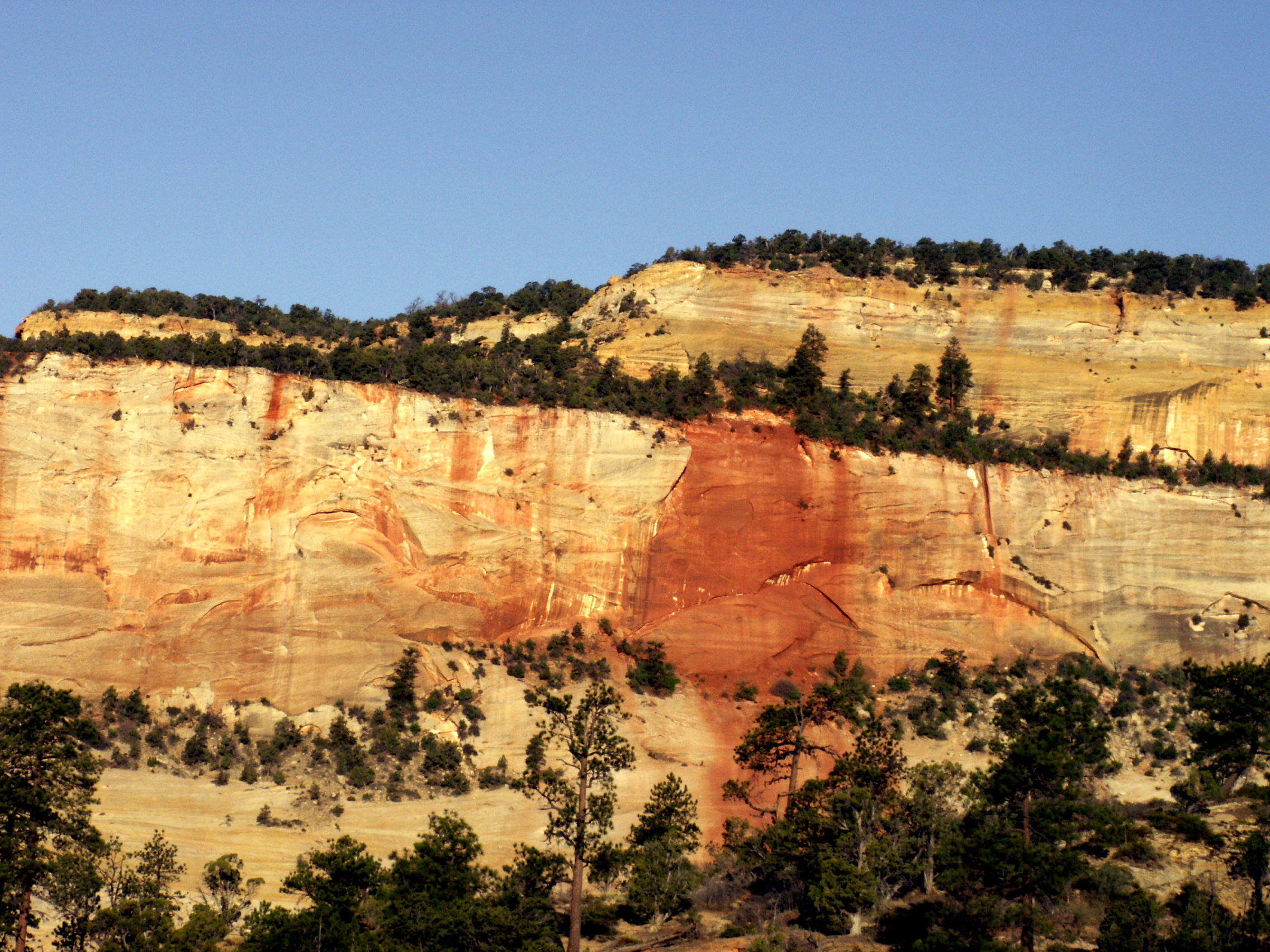 PICT0212.JPG
