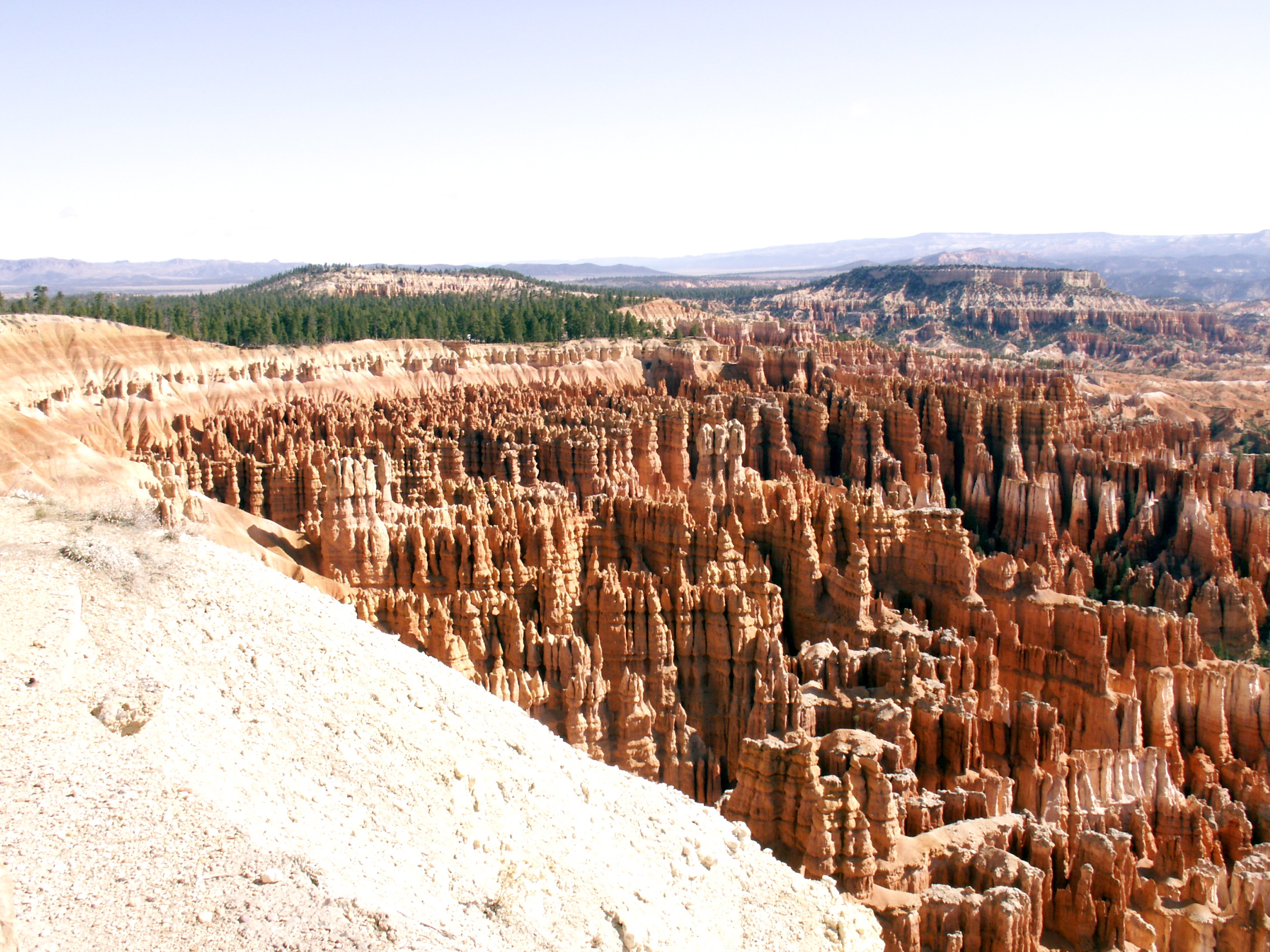 PICT0214.JPG
