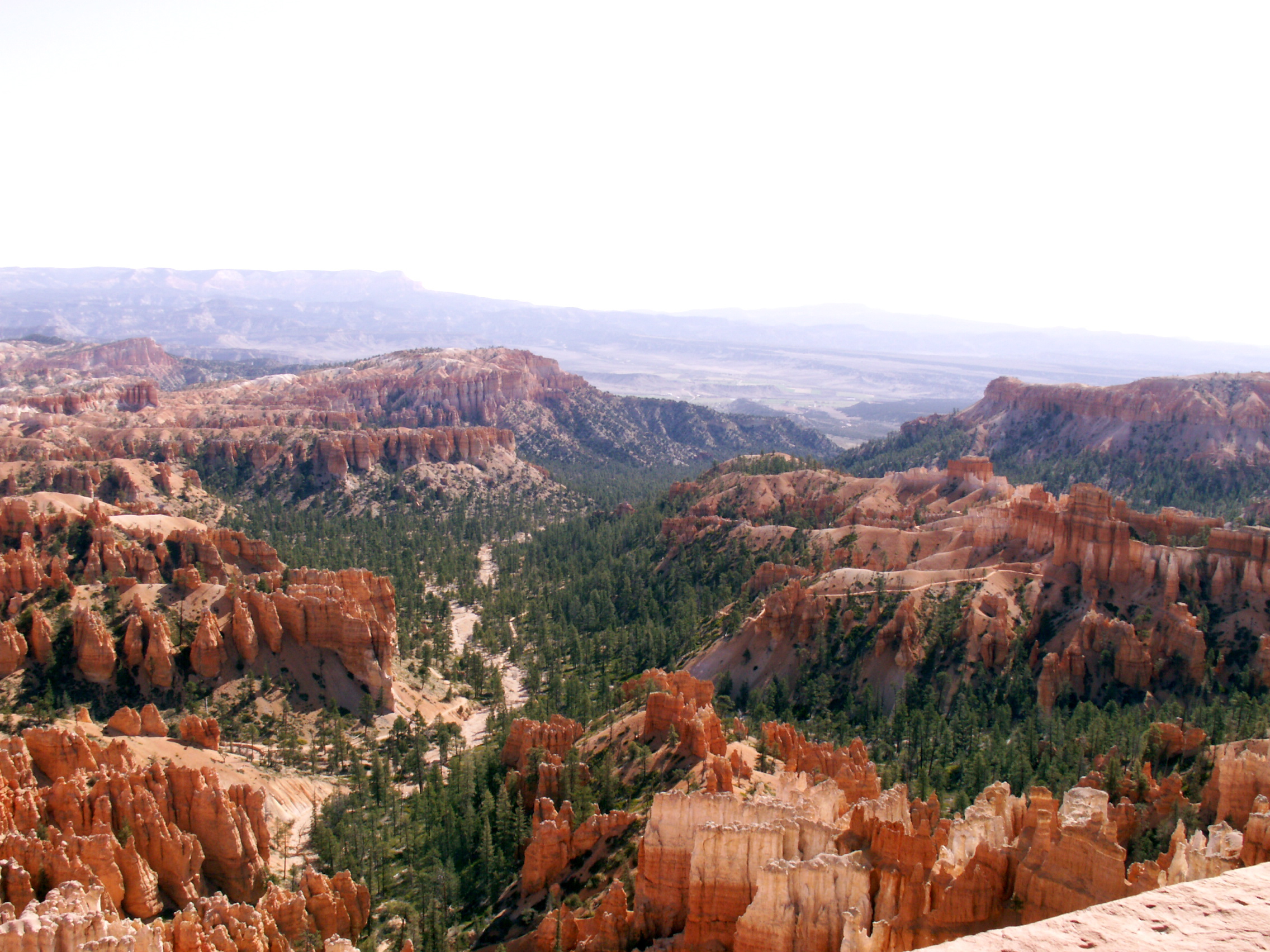 PICT0216.JPG