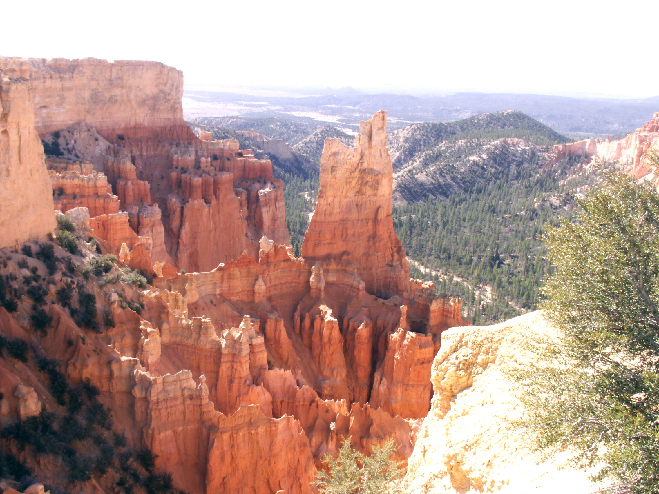 PICT0220.JPG