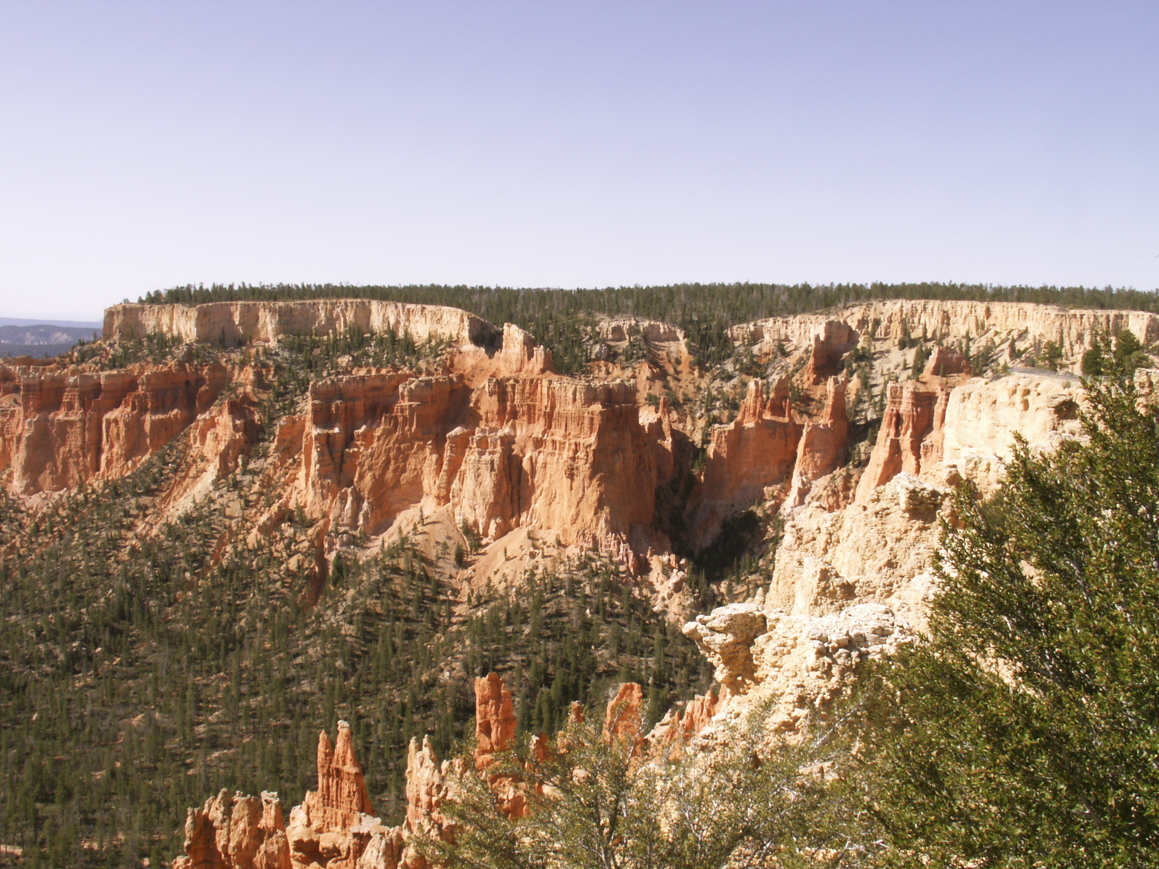 PICT0221.JPG