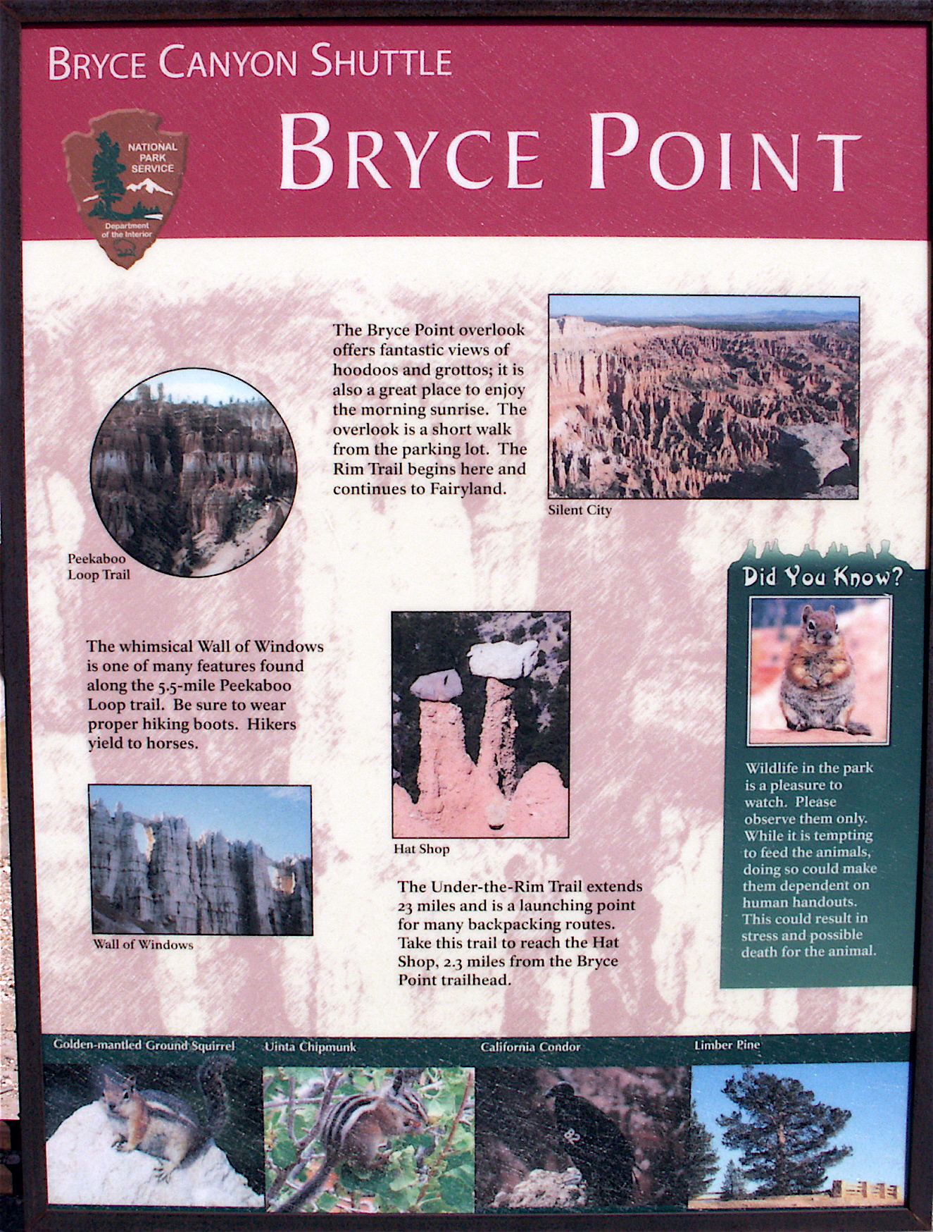 PICT0230.JPG