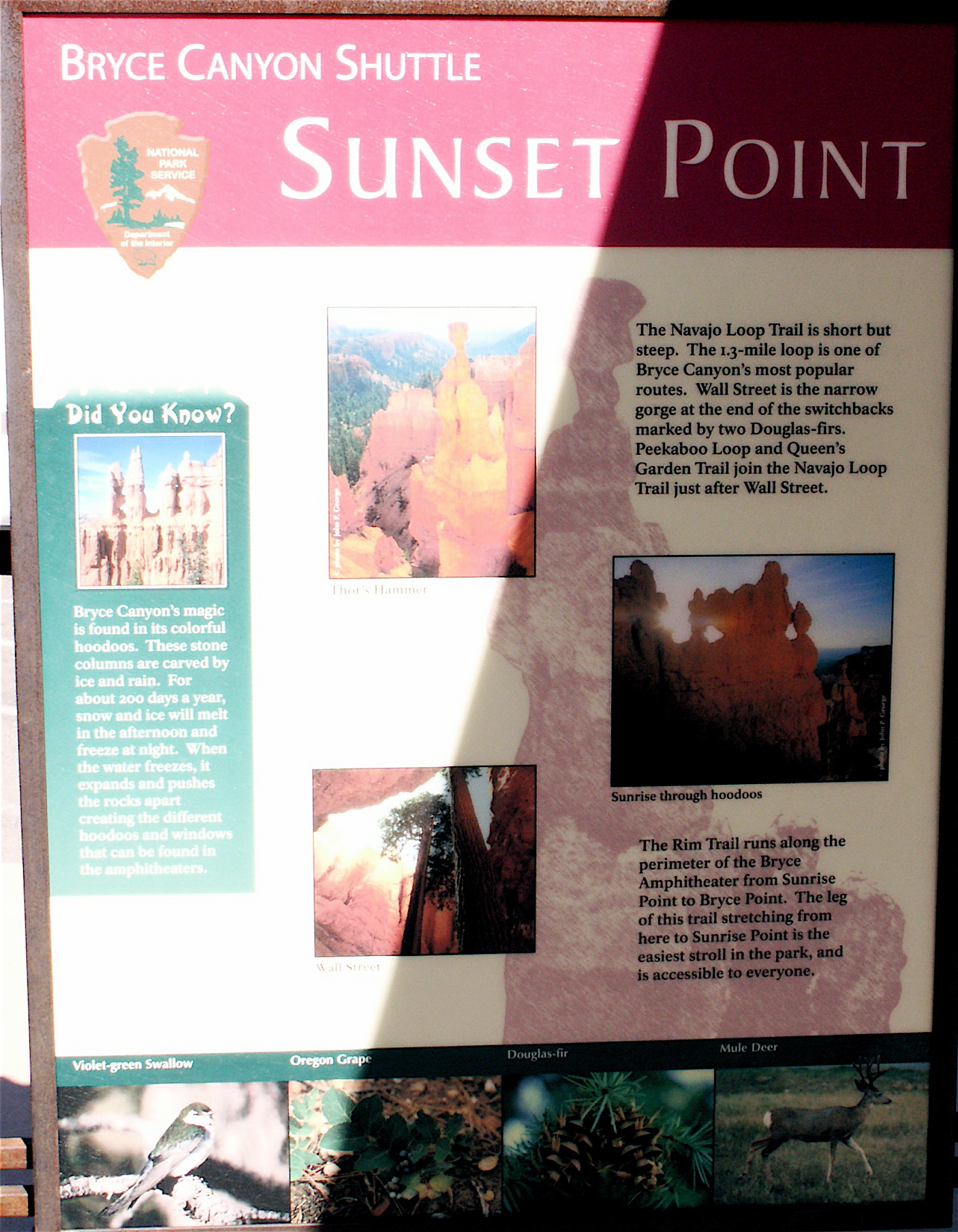 PICT0231.JPG