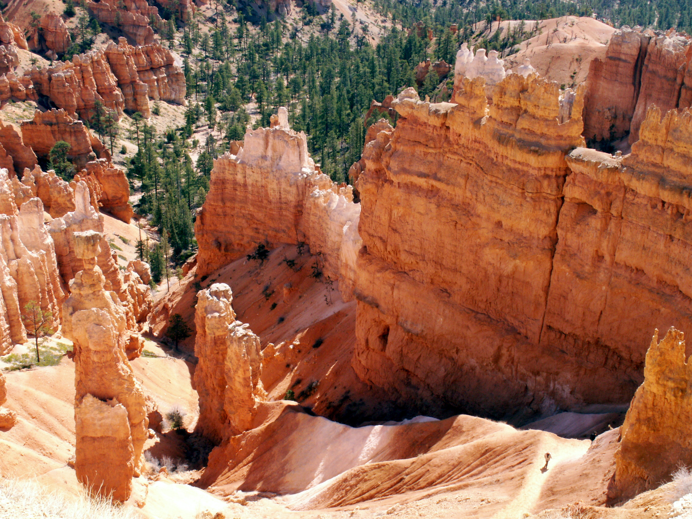 PICT0233.JPG