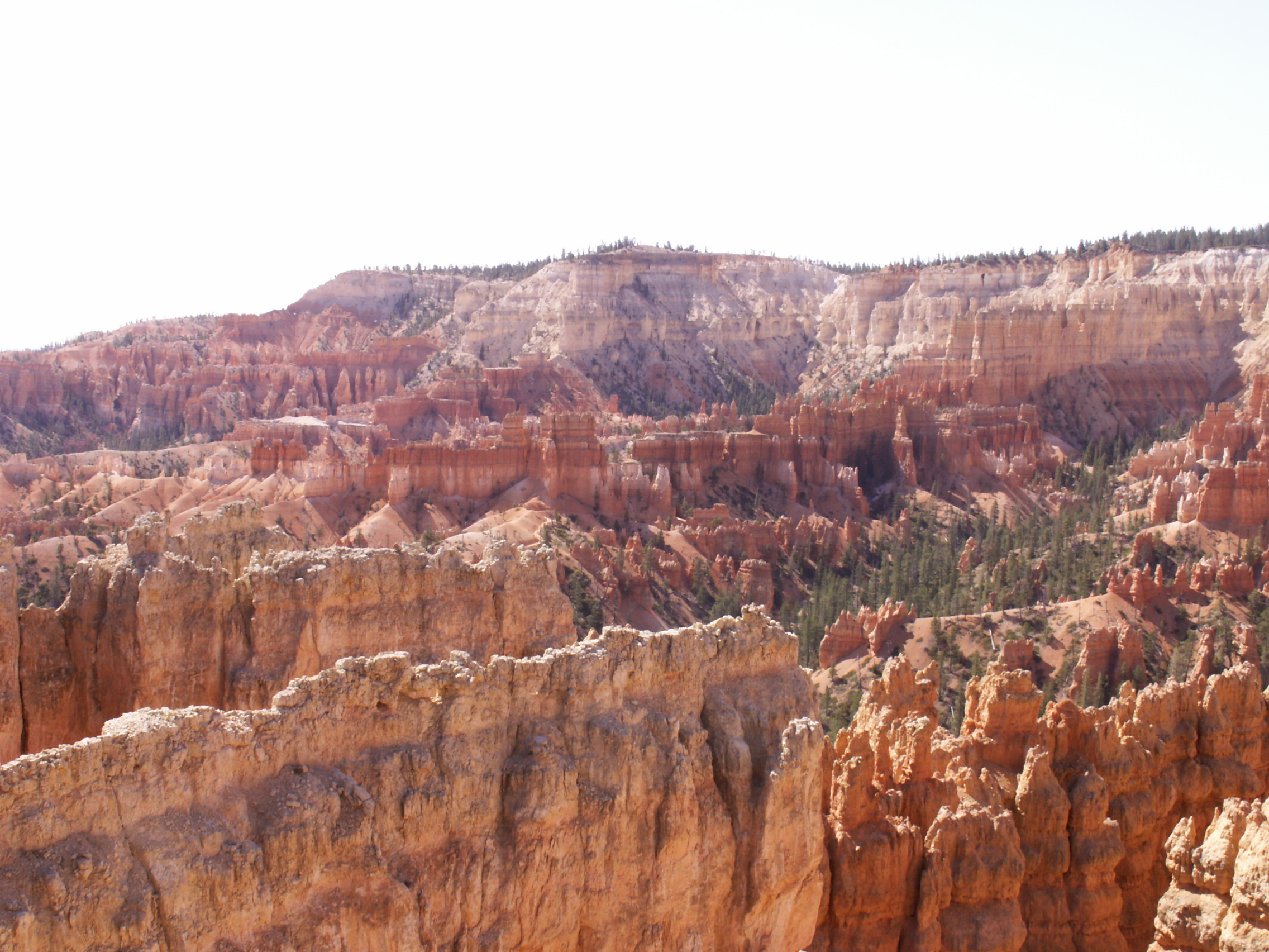 PICT0234.JPG