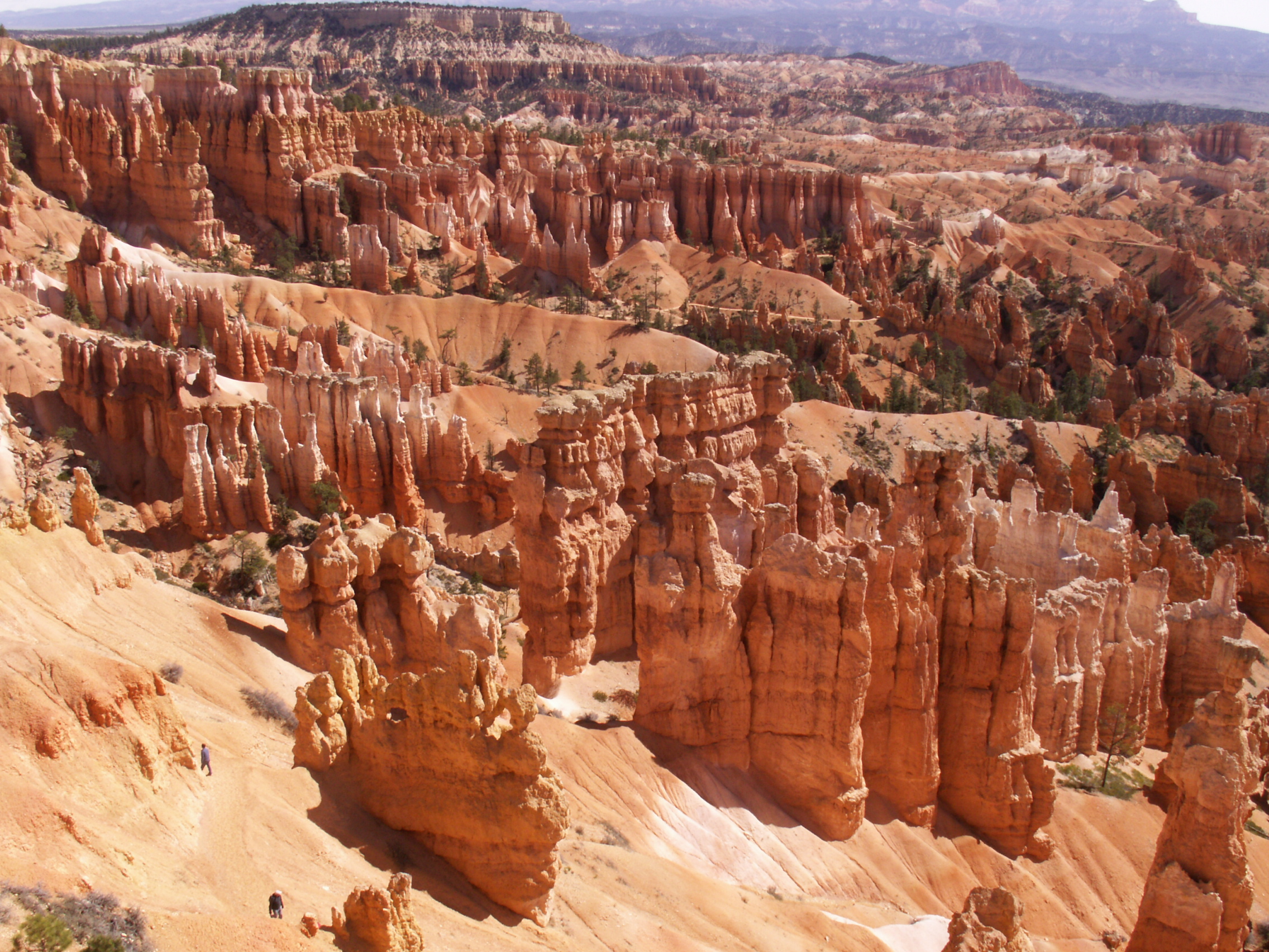 PICT0236.JPG