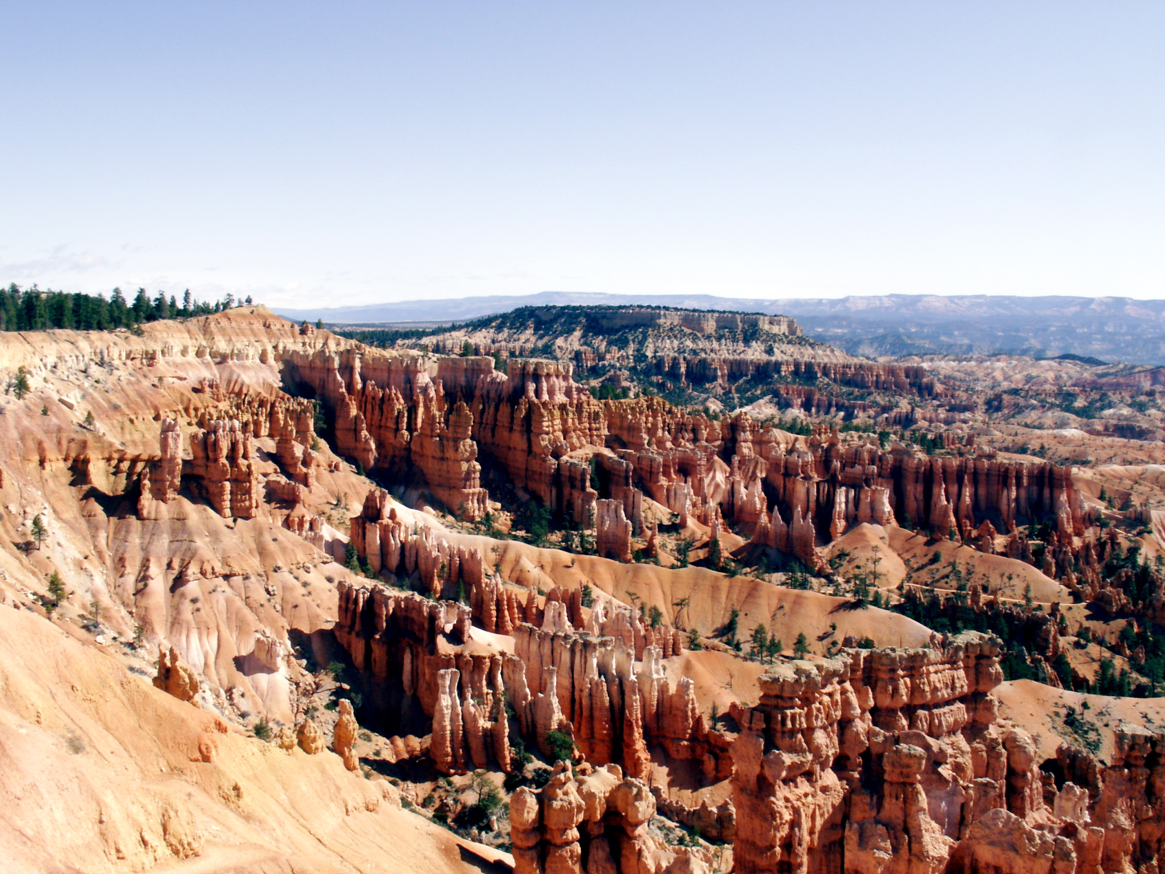 PICT0237.JPG