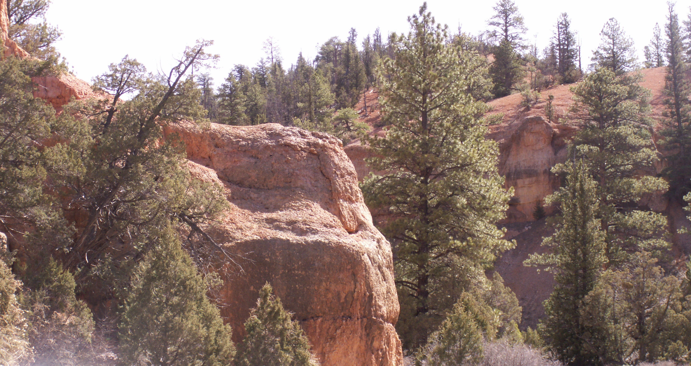 PICT0240.JPG