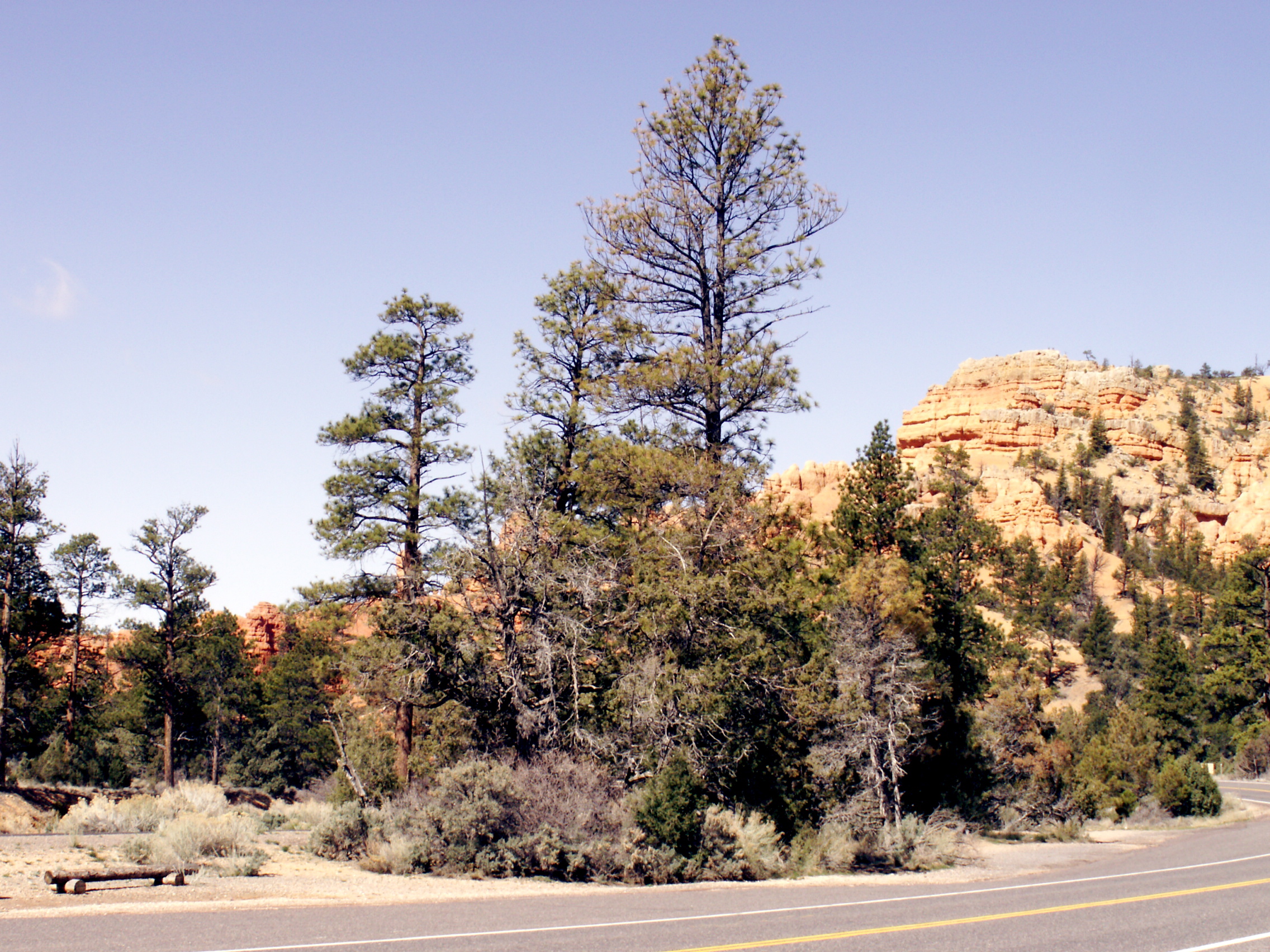 PICT0243.JPG
