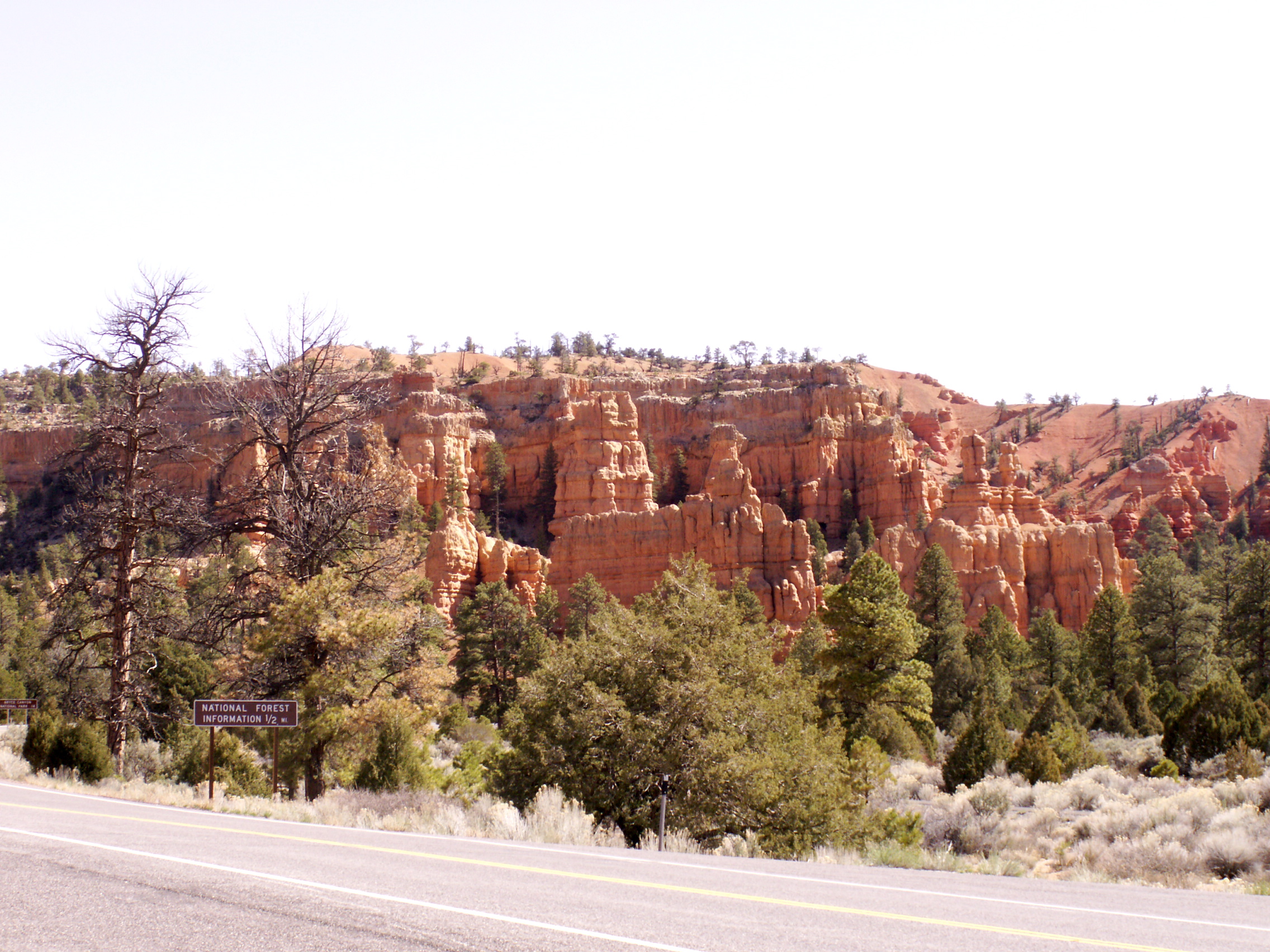 PICT0244.JPG