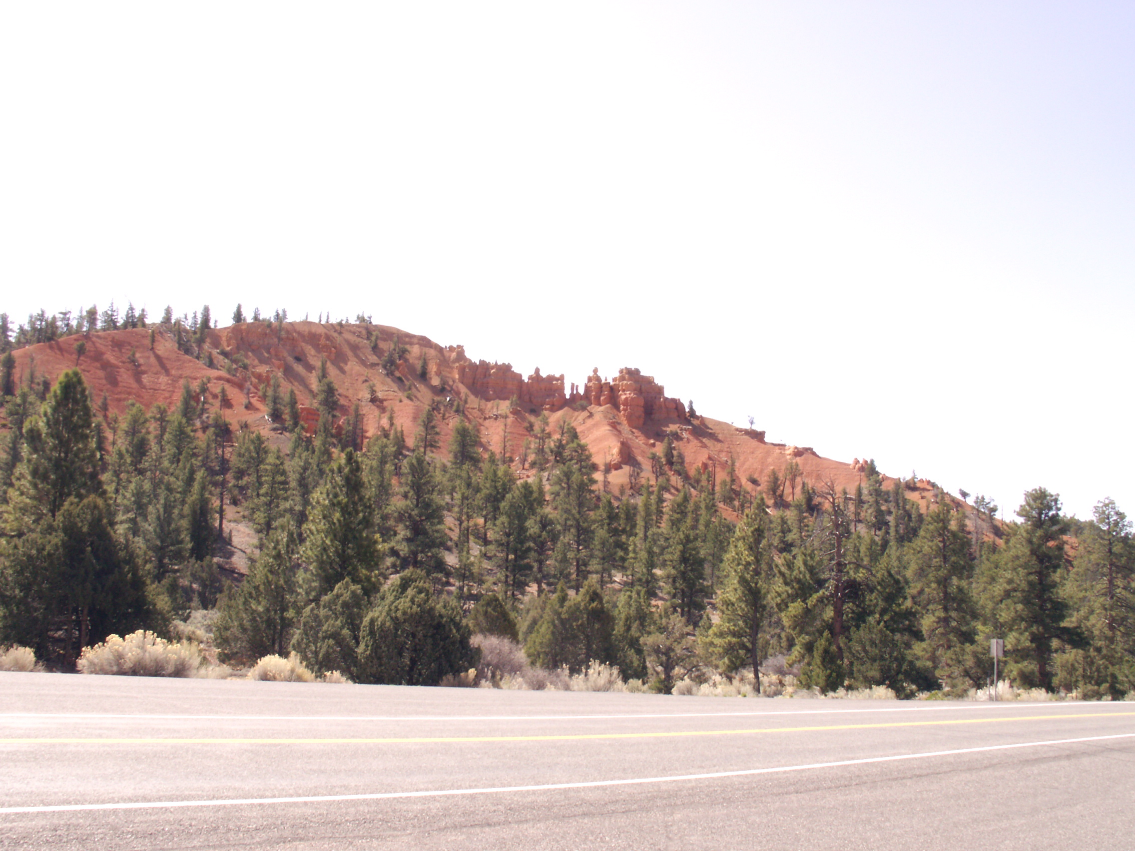 PICT0245.JPG