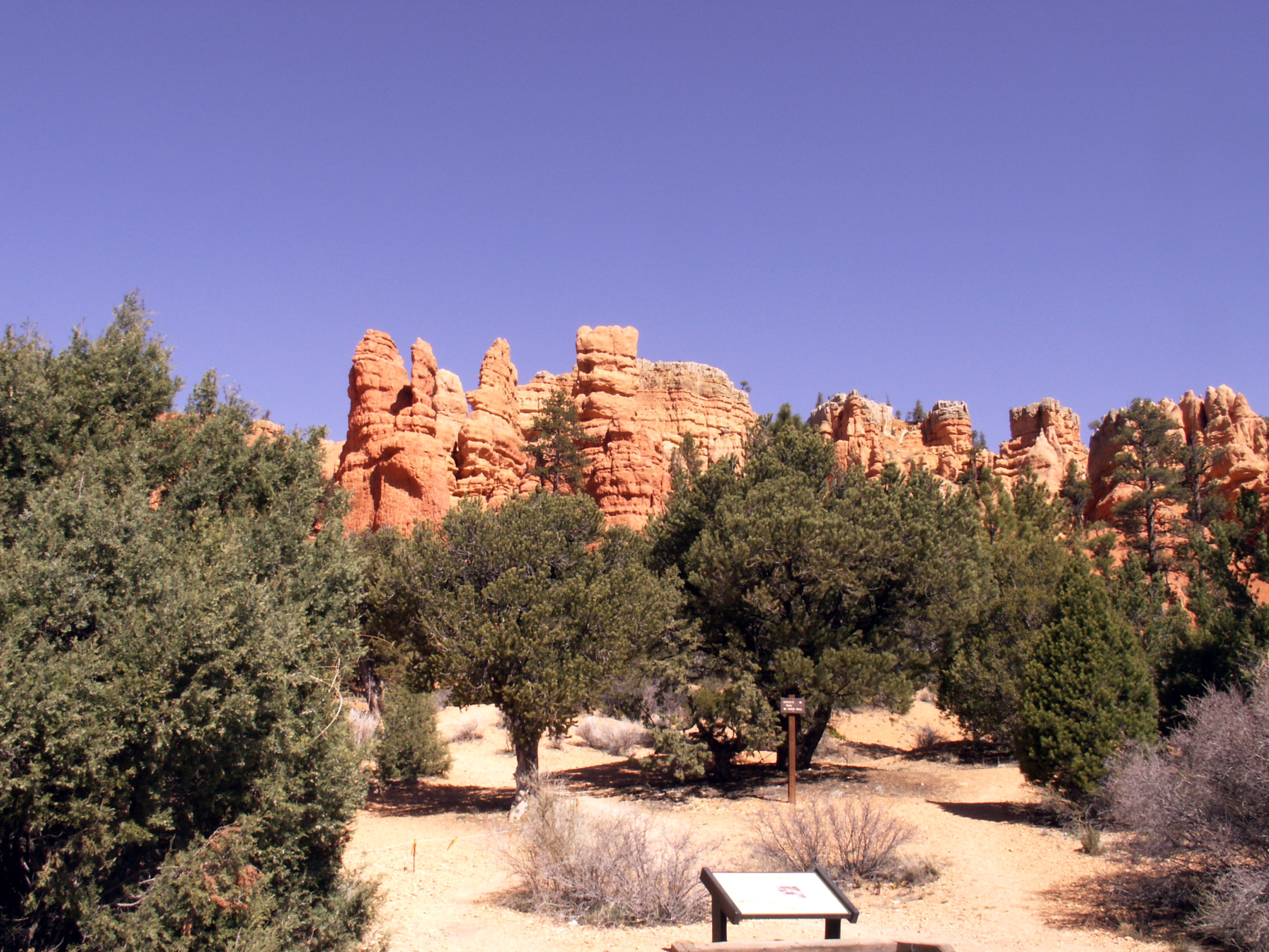 PICT0246.JPG