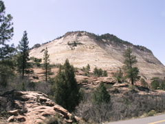 PICT0179.JPG