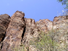 PICT0196.JPG