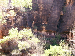 PICT0197.JPG