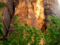 PICT0198.JPG