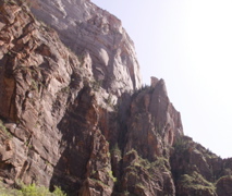 PICT0205.JPG
