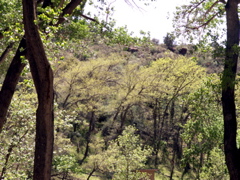PICT0206.JPG