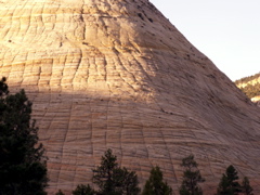 PICT0211.JPG