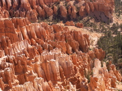 PICT0213.JPG