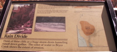 PICT0215.JPG
