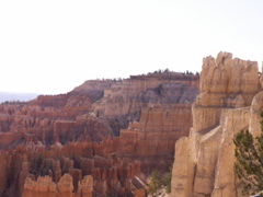 PICT0217.JPG