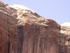 PICT0183.JPG