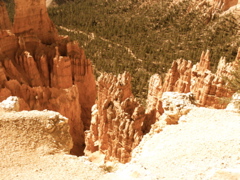 PICT0223.JPG