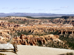 PICT0225.JPG