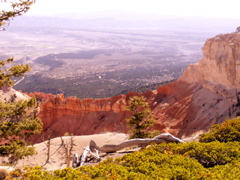 PICT0226.JPG
