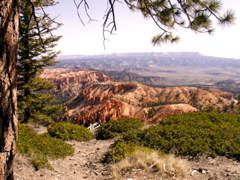 PICT0227.JPG
