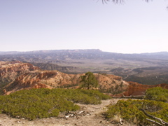 PICT0228.JPG