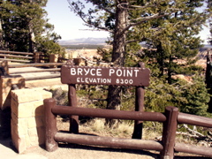 PICT0229.JPG