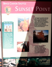 PICT0231.JPG
